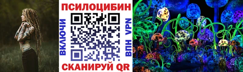 hydra tor  Барабинск  Галлюциногенные грибы Psilocybe 